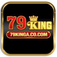 https://remoteai.io/storage/images/users/1774435840logo 79kinga.webp